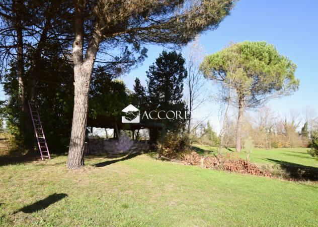 TERRENO AGRICOLO di 54401 mq (QUARTO D'ALTINO) rif. SWD1 - Foto 7