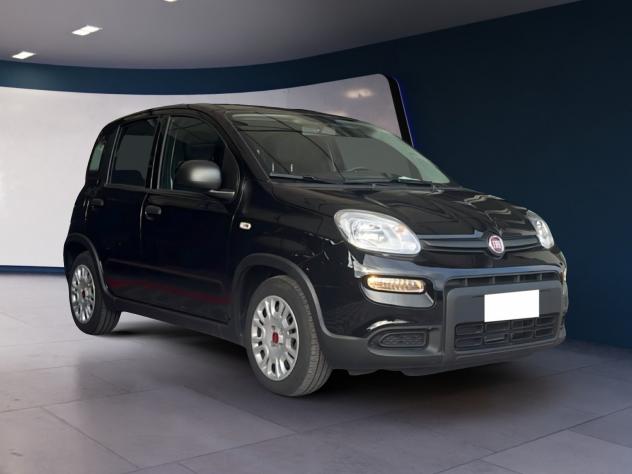 FIAT Panda Panda 1.0 FireFly 70cv S&S Hybrid - Foto 3