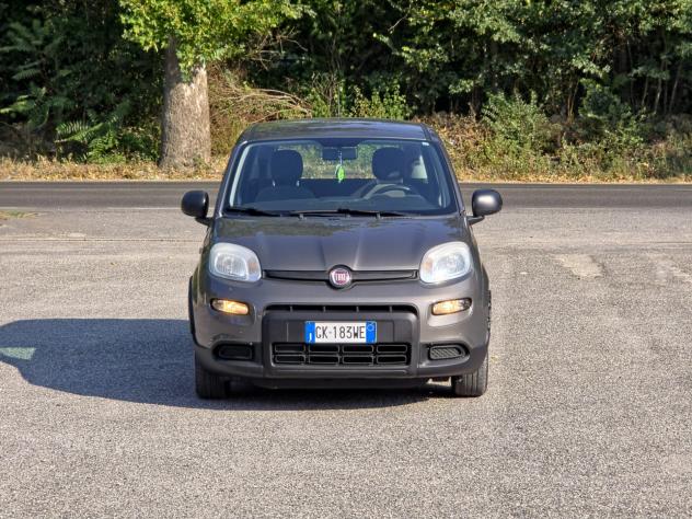 Fiat Panda 1.0 FireFly S&S Hybrid CV-69 E6 Manuale NEO 2022 - Foto 2