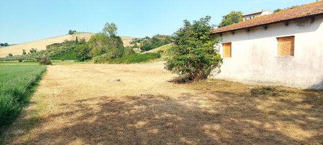 CASA DI CAMPAGNA immersa NEL VERDE con 6.200 mq. di TERRENO AGRICOLO - Foto 9
