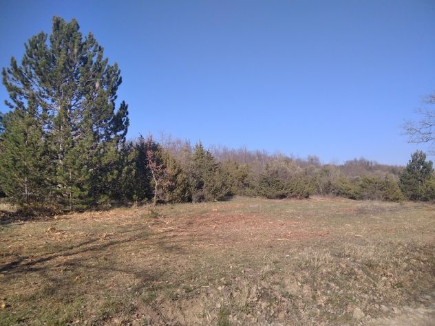 Terreno agricolo in Istria. - Foto 2