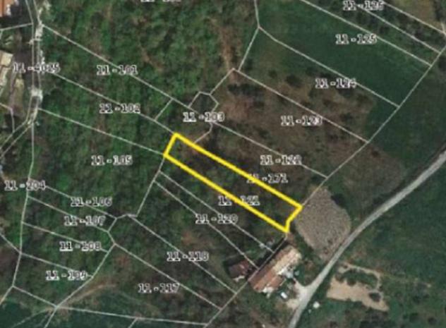Immobile in asta di 9105 m² in vendita a Torricella Peligna - Foto 6