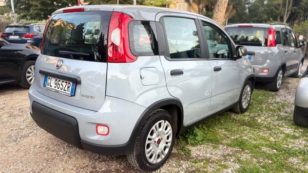 FIAT Panda Panda 1.0 firefly hybrid s&s 70cv 12 MESI DI GARANZIA - Foto 3