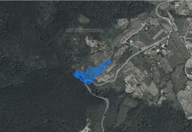 Terreno agricolo in vendita a Rivalto - Chianni 11000 mq Rif: 774561 - Foto 3