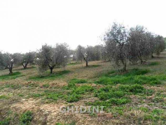 RUSTICO di 3 vani e di 65 mq (CINIGIANO - VICINANZE DEL PAESE) rif. 1988.65M - Foto 12