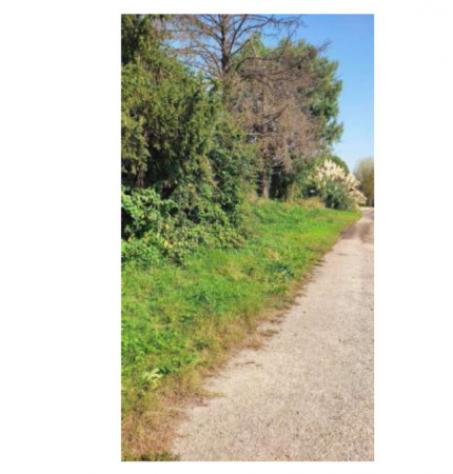Immobile in asta di 22 m² in vendita a Ozzero - Foto 11