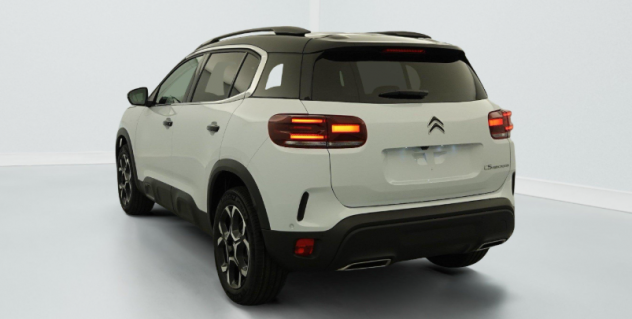 Citroën C5 Aircross C5 Aircross BlueHDi 130 S&S EAT8 Max N1 Autocarro - Foto 8
