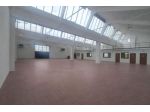 Immobile di 650 m² con 4 locali in affitto a Zola Predosa
