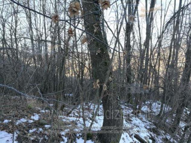 IMMOBILI-ALTRA CATEGORIA-Localita' Moiolo di Cassano SNC - Foto 2