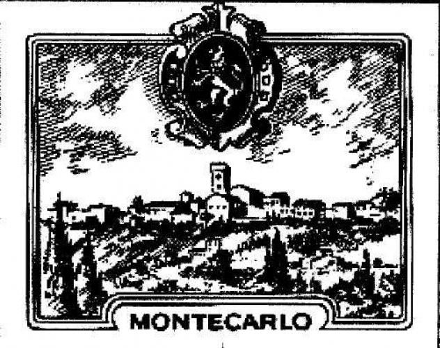 Capann mont 320 - Capannone a Montecarlo - Foto 14
