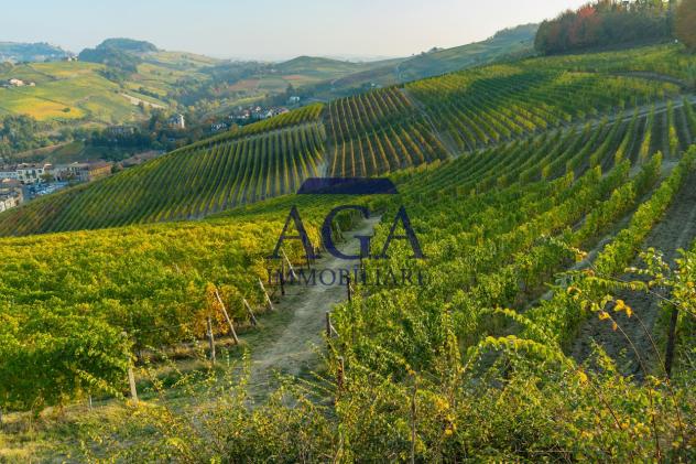 TERRENO AGRICOLO di 60400 mq (MIANE) rif. TR69_17 - Foto 10