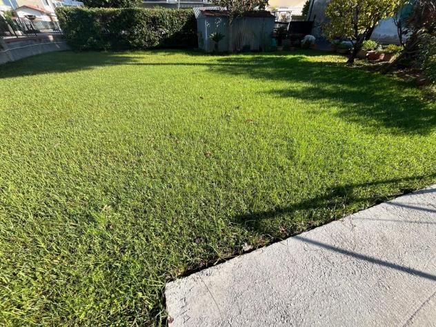 negozio in vendita a Massa in zona Marina di Massa