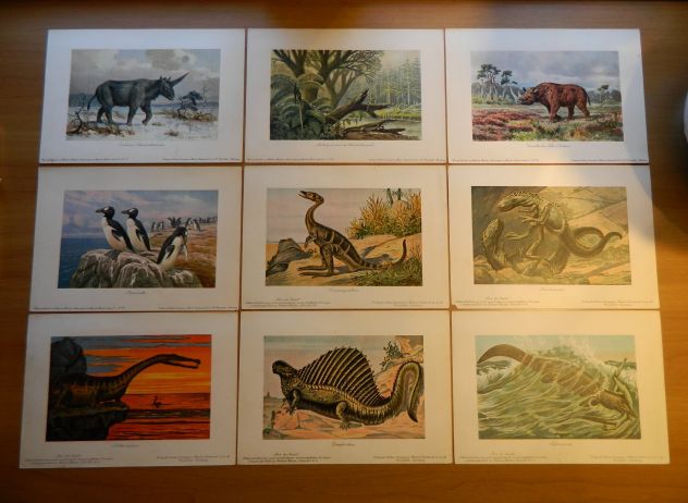 Serie di 8 litografie Harder-Bölsche: Tiere der Urwelt - Foto 2