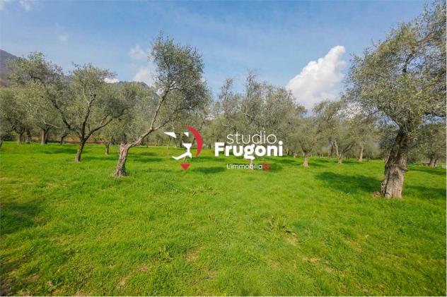 vf911 - TENUTA CON 2 ETTARI E ANNESSI AGRICOLI - Foto 6