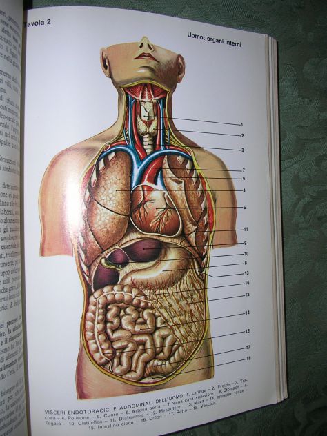BIOLOGIA - Foto 6