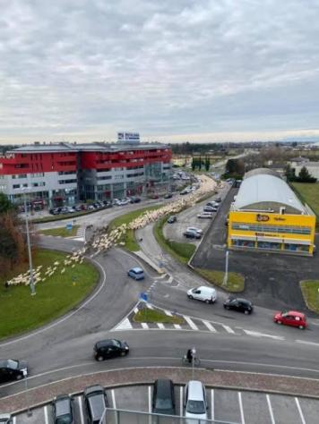 Ufficio di 185mq con terrazze e posti auto - Foto 8