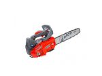 Motoseghe da potatura MTTH 2500