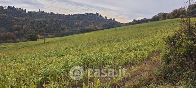 Trevi vendesi terreno agricolo 4000 Mq