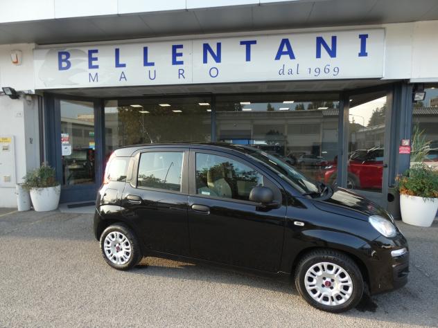 FIAT Panda 3ª serie Panda 1.2 Easy