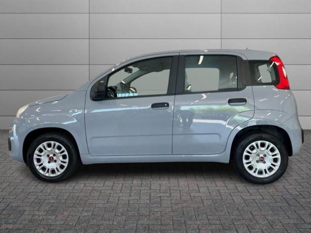 FIAT Panda 1.2 Easy rif. 23921834 - Foto 6