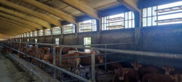 Immobile in asta di 2893 m² in vendita a Vicchio - Foto 16