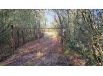 Annesso agricolo in vendita a Monteriggioni 57000 mq  Rif: 1404770
