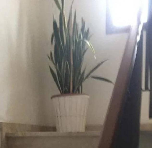 Immobile in asta di 126 m² in vendita a San Miniato - Foto 8