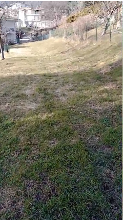 TERRENO AGRICOLO DA PRIVATO - Foto 4