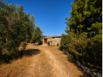 TERRENO IN VENDITA