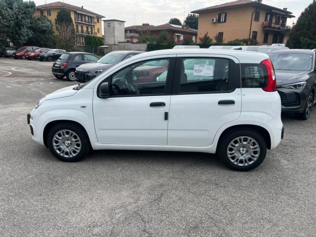 FIAT Pandina Pandina 1.0 firefly hybrid Icon s&s 65cv - Foto 6