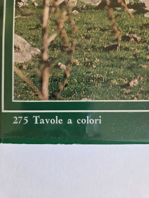 Libro "Sardegna", guida a tutte le città della Sardegna ed alle loro province. - Foto 2