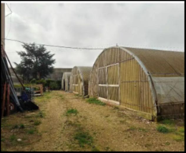 Immobile in asta di 900 m² con più di 5 locali in vendita a Gioia del Colle - Foto 7
