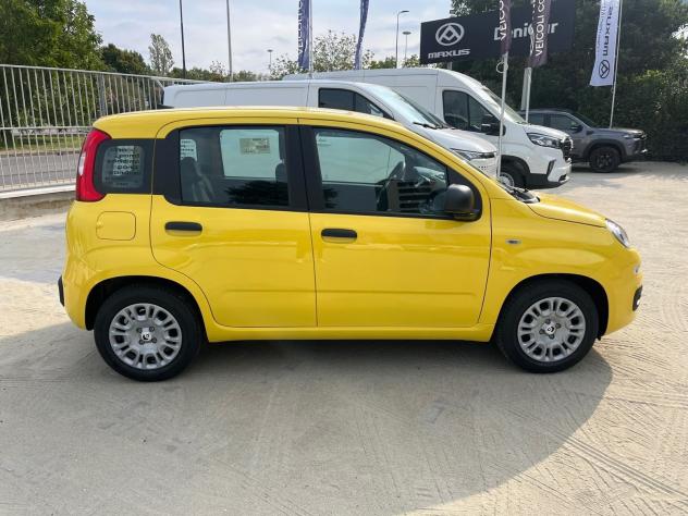 FIAT Pandina Pandina 1.0 firefly hybrid Icon s&s 65cv - Foto 6