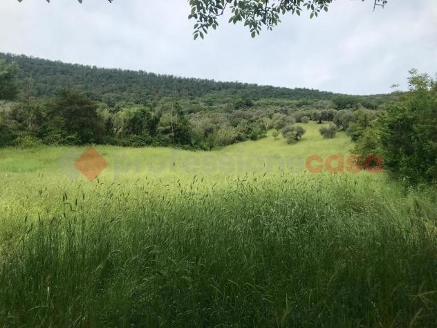 Terreno Agricolo - Tivoli . Rif.: Cod. rif 3234108ARG - Foto 4
