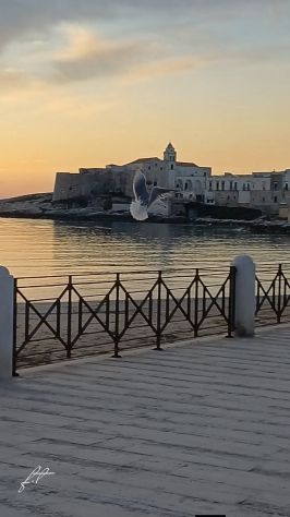 Vieste Seba Vacanze "il tuo nido a Vieste, a due passi dal mare
