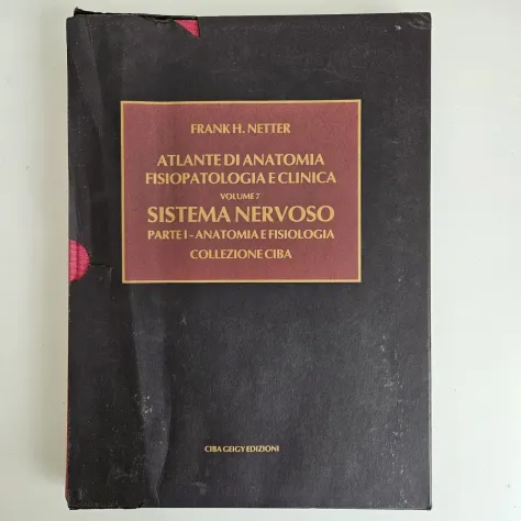 Netter, 7 Volumi - Collezione Ciba Geigy - Frank Netter - 1985 - TRACCIATA! - Foto 2
