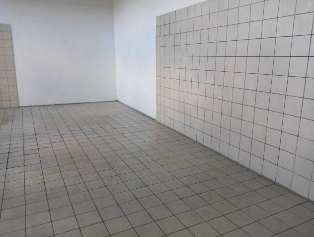 Laboratorio in affitto a Mezzana - San Giuliano Terme 215 mq Rif: 1361630 - Foto 4