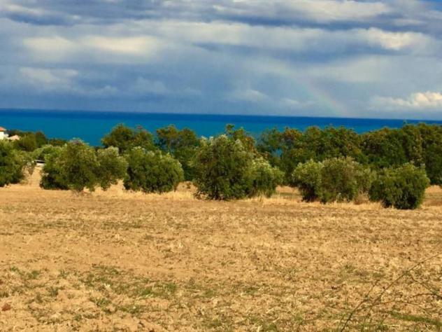 Agricolo in vendita a Cupra Marittima - Foto 3