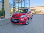 FIAT Panda 1.3 MJT S&S Easy rif. 24066225