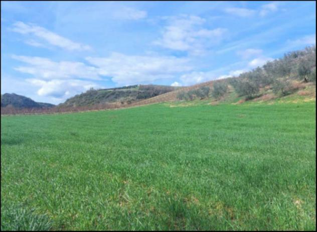 Immobile in asta di 51760 m² in vendita a Altomonte - Foto 7