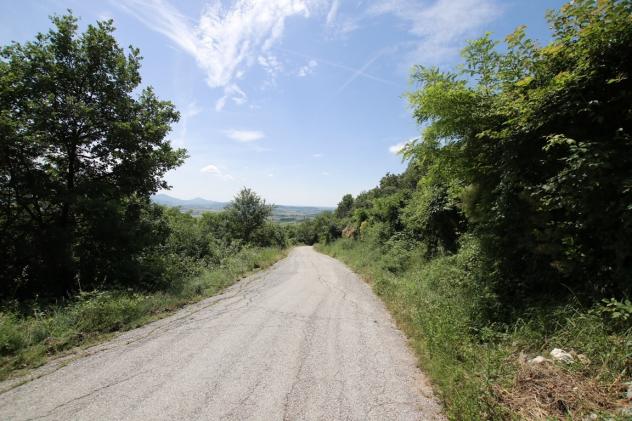 Bosco in vendita a Castegnero - Foto 15