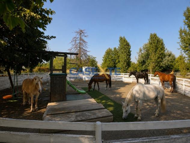 ?? MANEGGIO E CENTRO EQUESTRE – CIRCA 11.000 MQ - Foto 16
