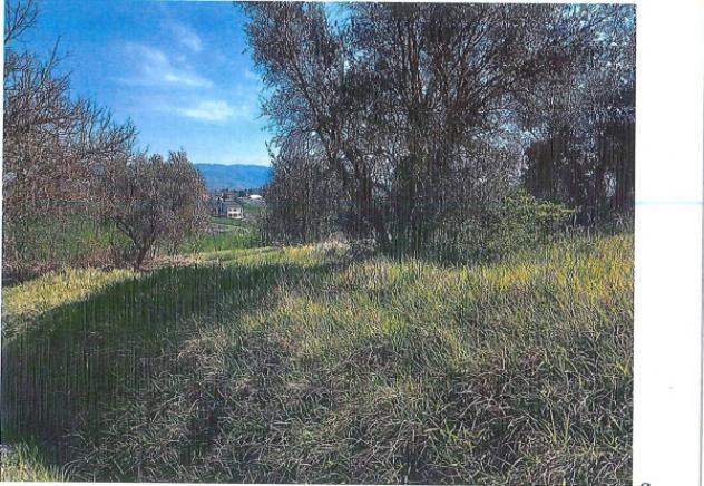 Immobile in asta di 33490 m² in vendita a Perugia - Foto 14