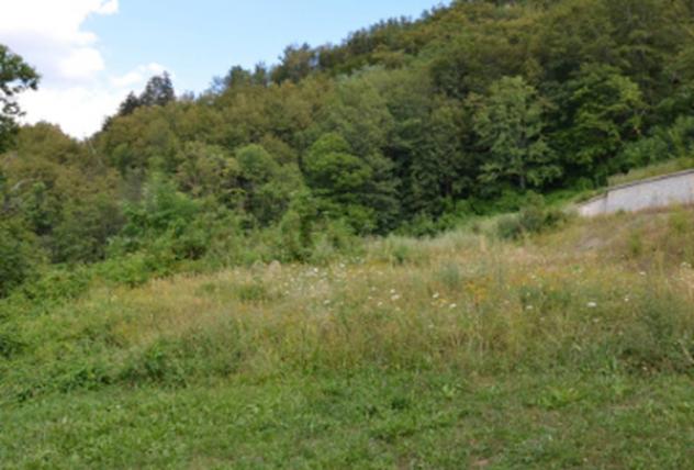 Immobile in asta di 9162 m² in vendita a Sestola - Foto 8