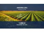Immobile in asta di 3120 m² in vendita a Stellanello