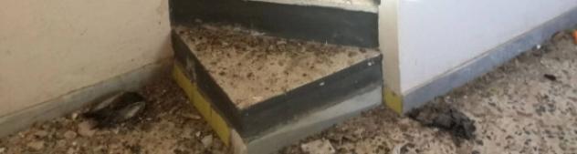 Immobile in asta di 45 m² in vendita a Carini - Foto 20
