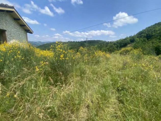 Immobile in asta di 192 m² in vendita a Castelli - Foto 9
