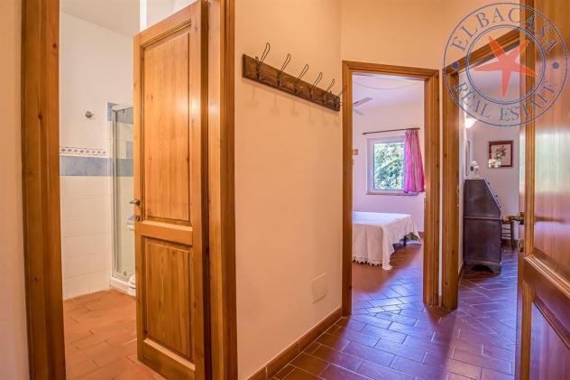 PORTO AZZURRO - ELBA - TRILOCALE IN CASALE - Foto 11