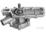 Pompa Acqua Lancia Fulvia 1.1 - 1.3 81109192