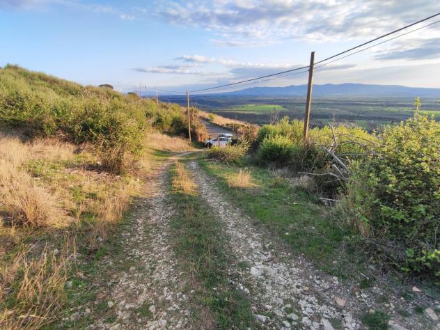 Area verde in vendita a Poli - Foto 6